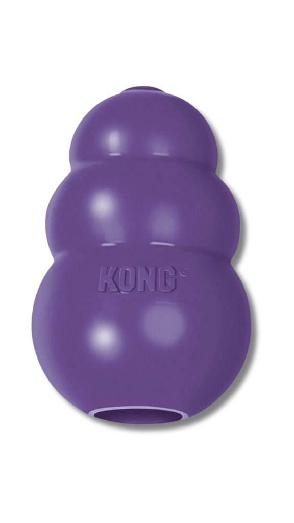 Kong senior dogs toy