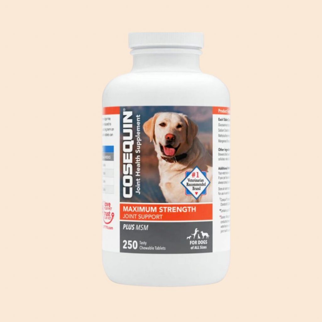 Best supplements for senior dogs best sale