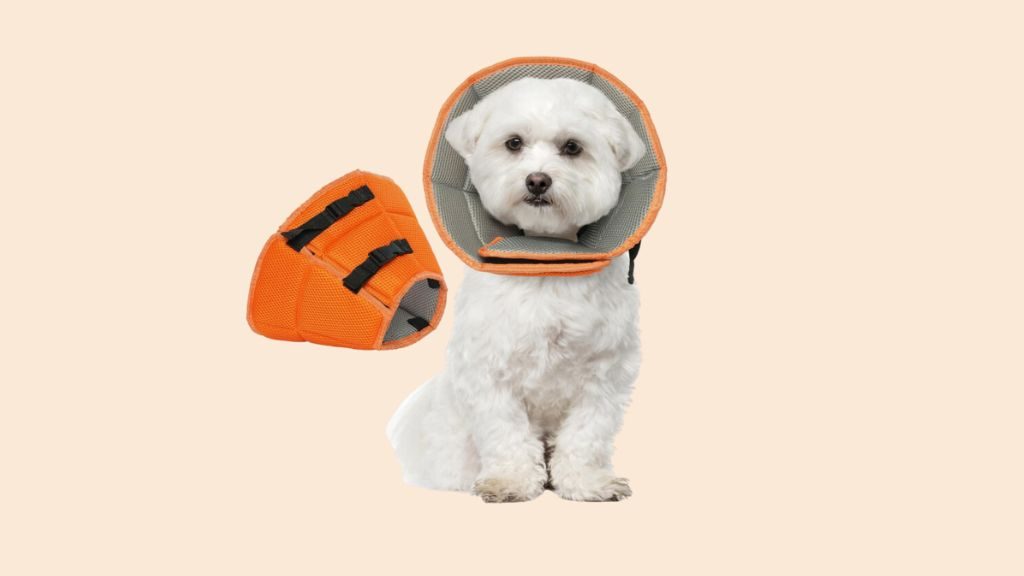 soft e-collar for small dogs