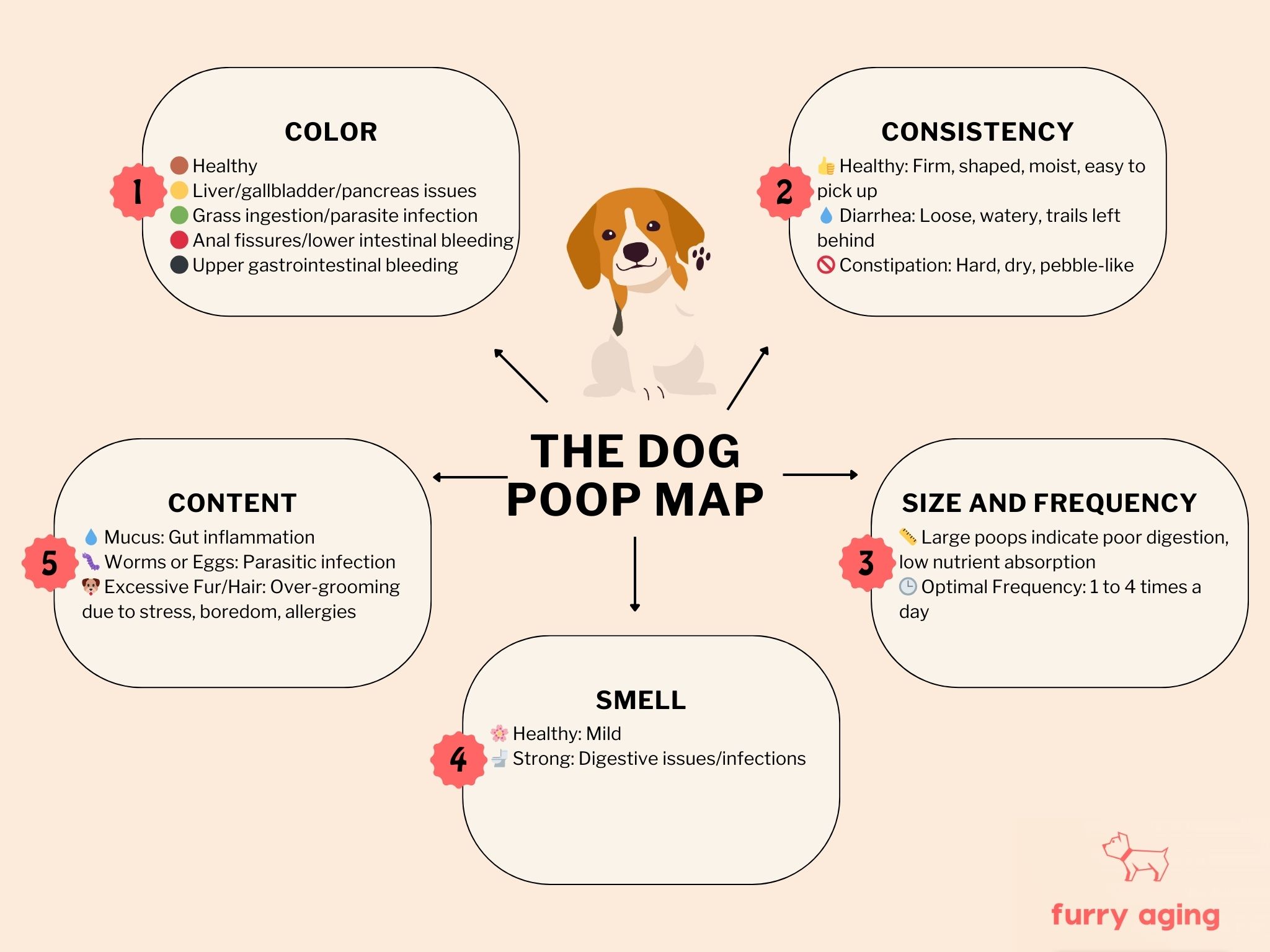 What does a healthy dog poop look like?