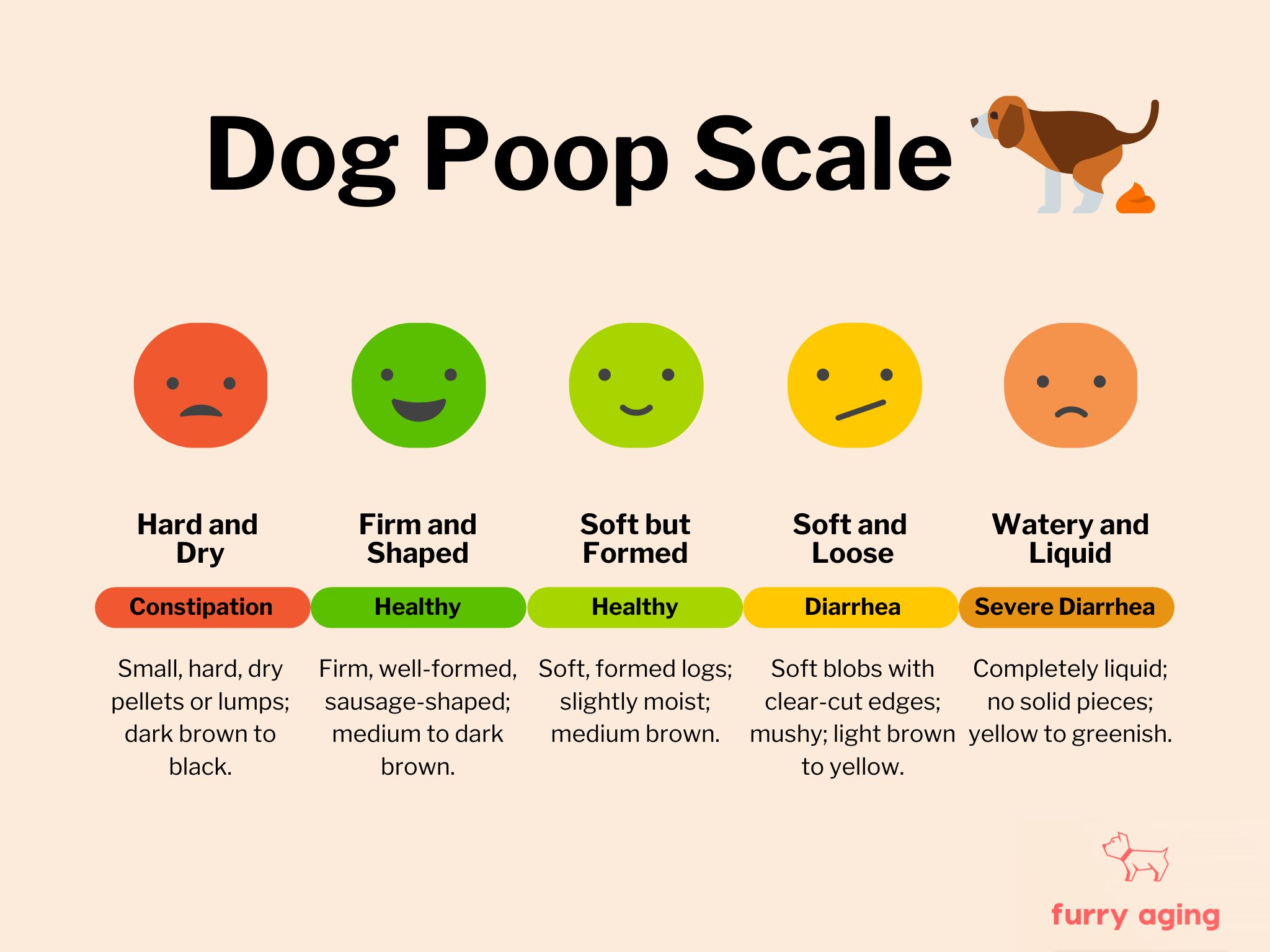 dog poop scale