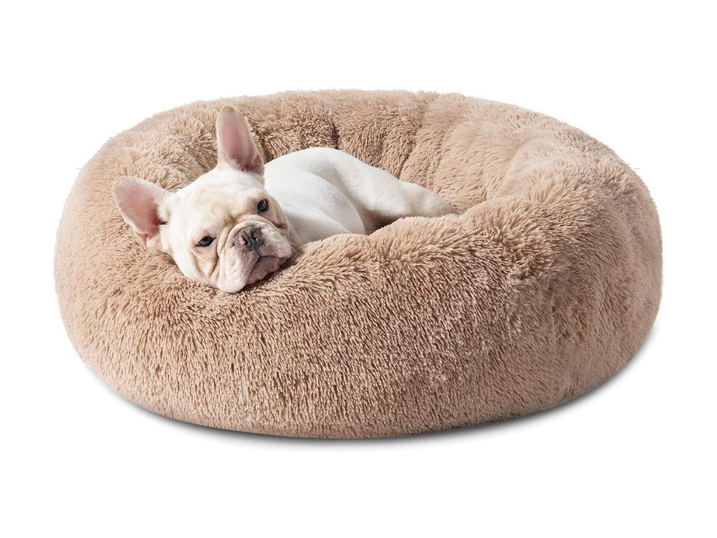 Donut pet bed